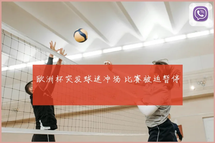 欧洲杯突发球迷冲场 比赛被迫暂停