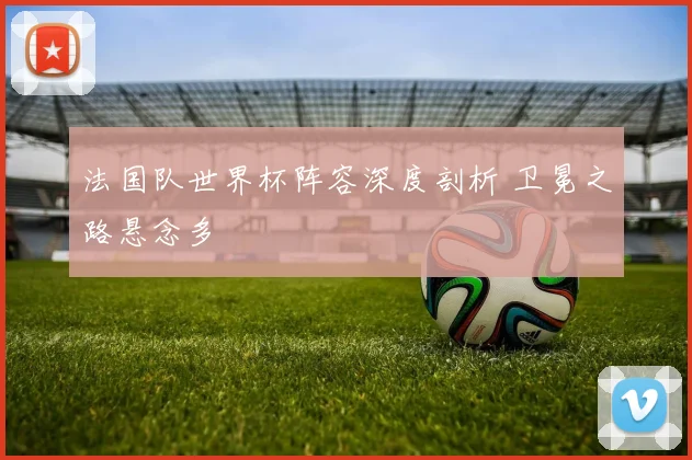 法国队世界杯阵容深度剖析 卫冕之路悬念多