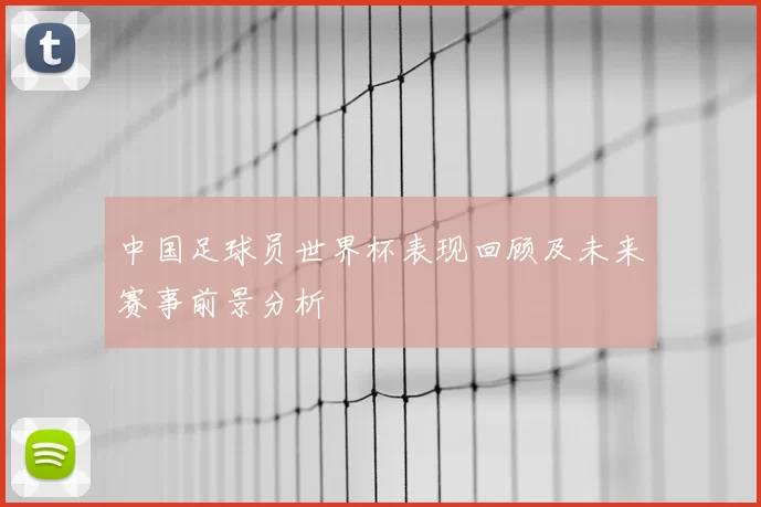中国足球员世界杯表现回顾及未来赛事前景分析