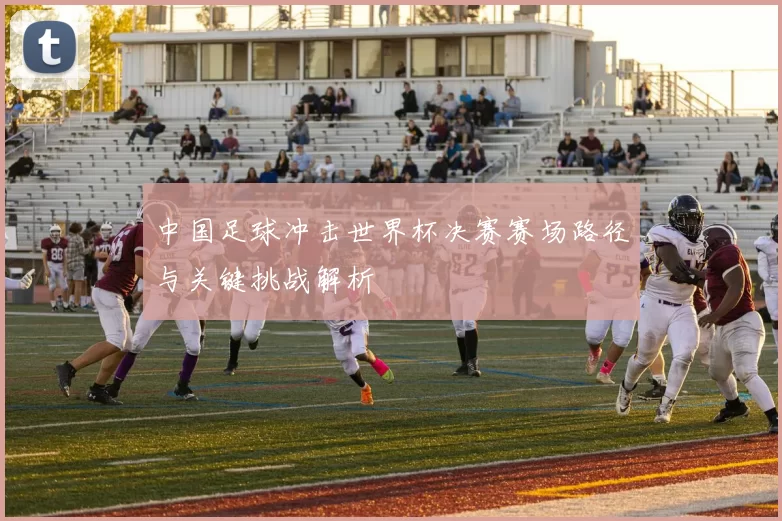 中国足球冲击世界杯决赛赛场路径与关键挑战解析