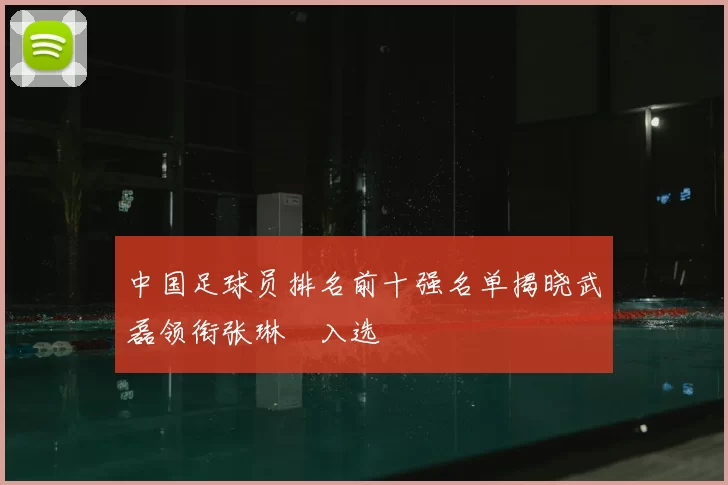 中国足球员排名前十强名单揭晓武磊领衔张琳芃入选